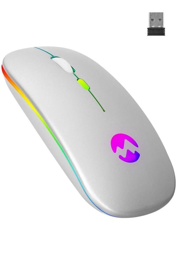 Everest Ledli Şarjlı Kablosuz Mouse Gümüş Smw-710